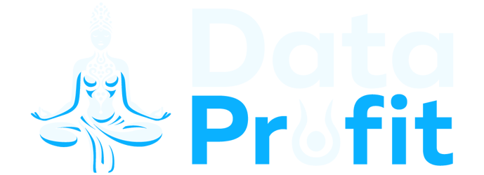 Data Profit Logo 