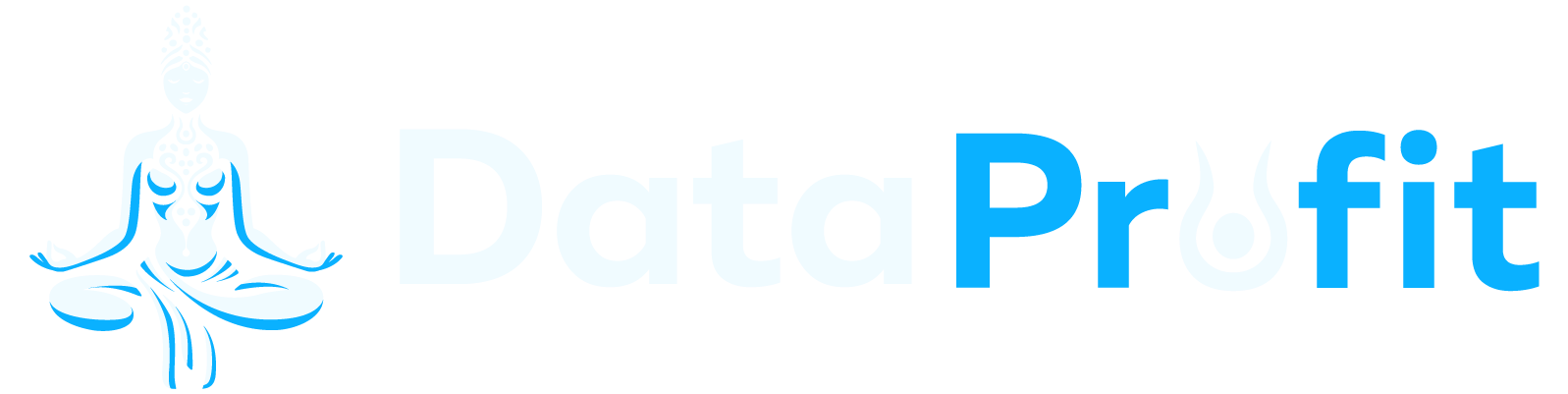 Data Profit Logo
