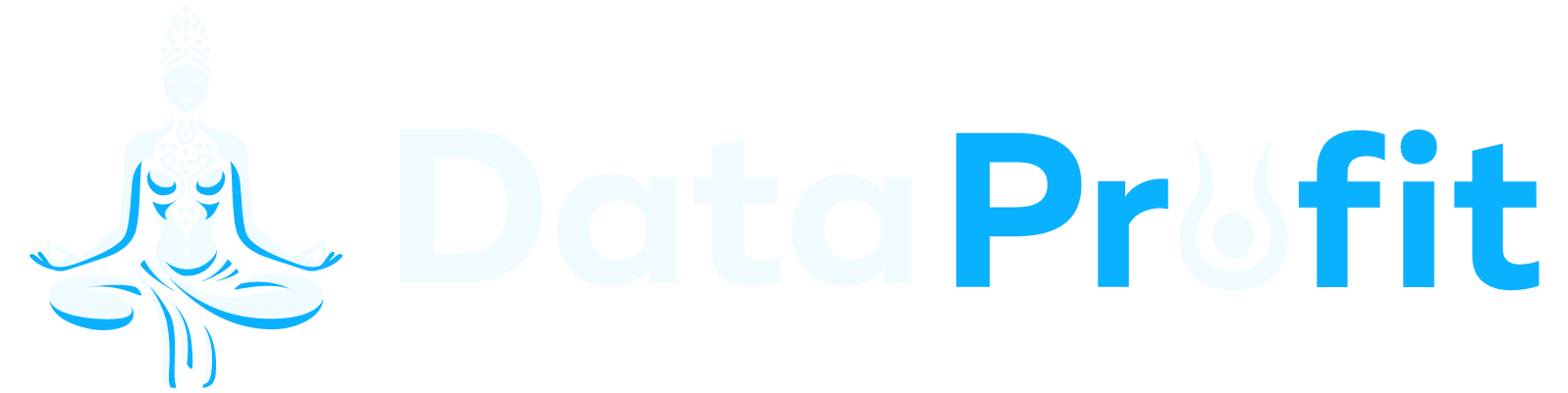 Data Profit Logo